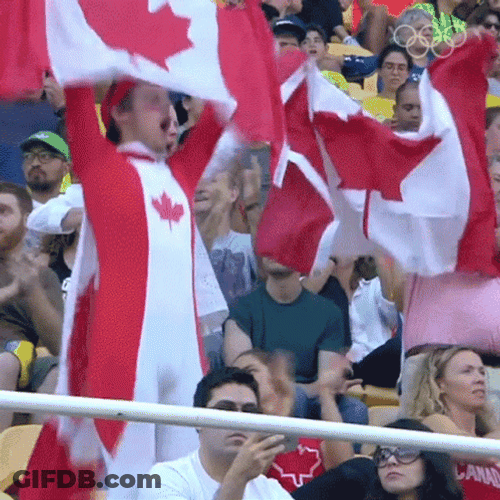 Team Canada Fans Celebrating Waving Flag GIF