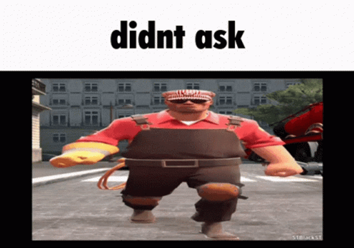 Team Fortress 2 Didn't Ask GIF