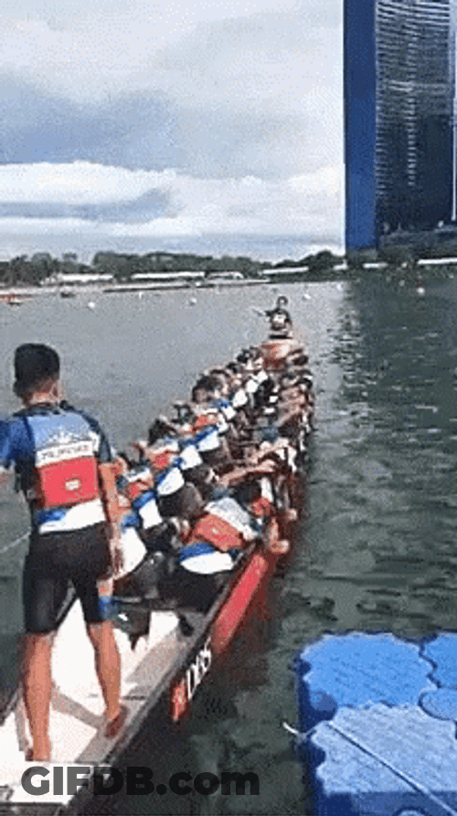 Team Row The Boat Fast GIF