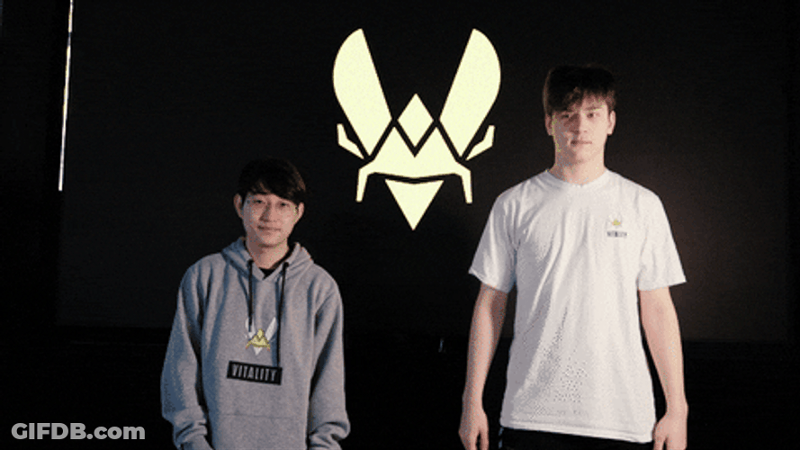 Team Vitality Fusion Pose GIF