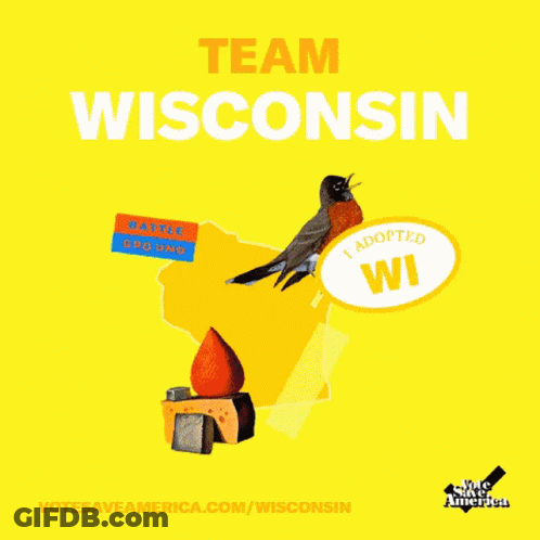 Team Wisconsin Poster With Bird On Map GIF