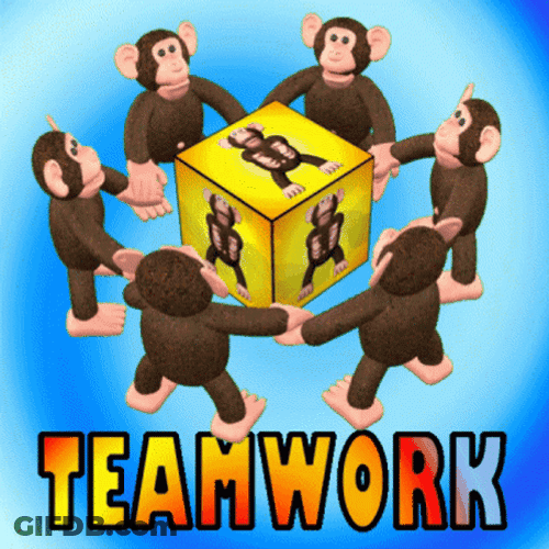Teamwork Meme Monkey Business GIF