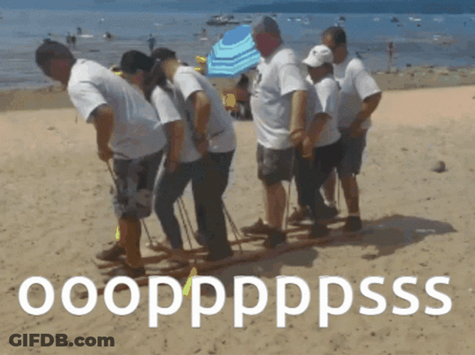 Teamwork Meme Sand Bar Walking GIF