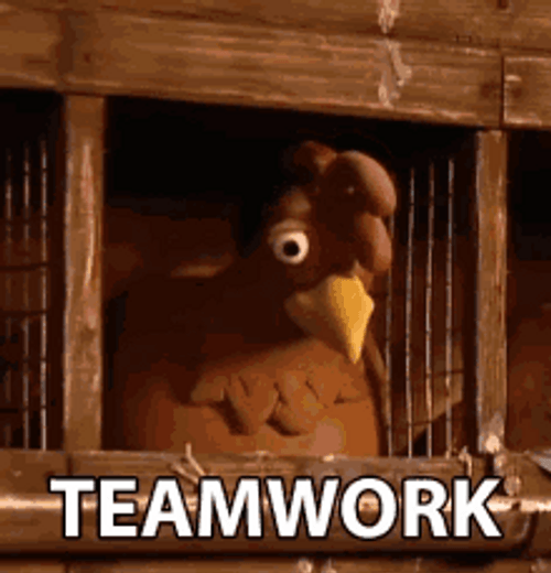 Teamwork Talking Rooster GIF