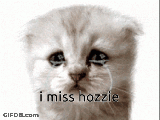 Tearful Sad Cat Crying Missing Hozzie GIF