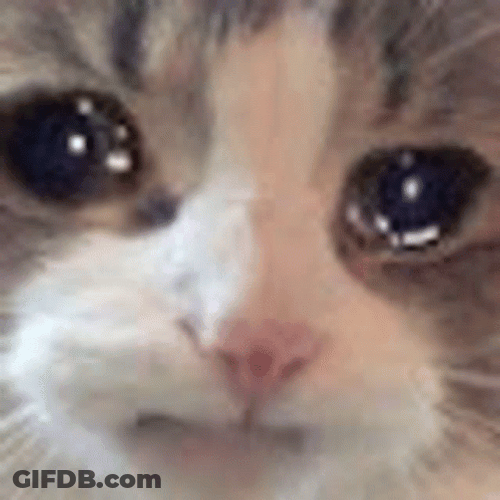 Teary Eyed Cat Screaming Eyes GIF