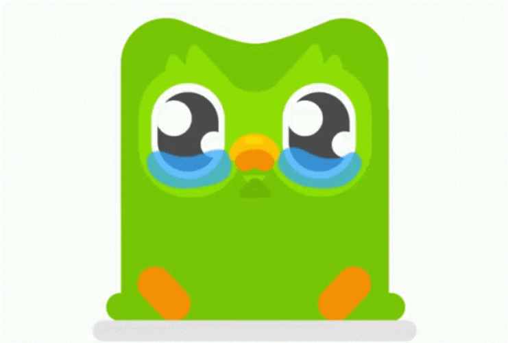 Teary Eyed Duolingo Meme GIF