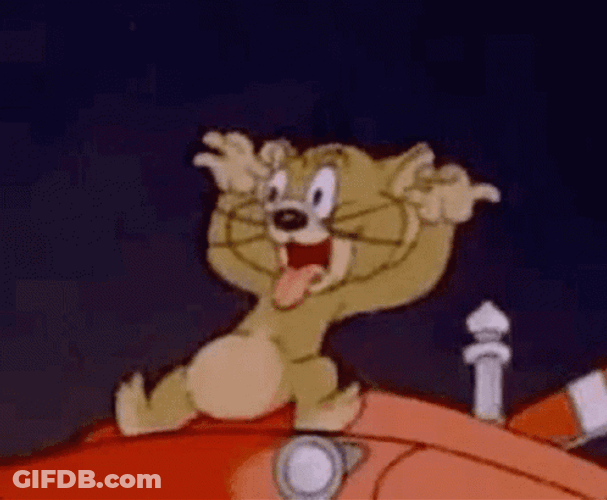 Teasing Funny Tongue Out Jerry GIF