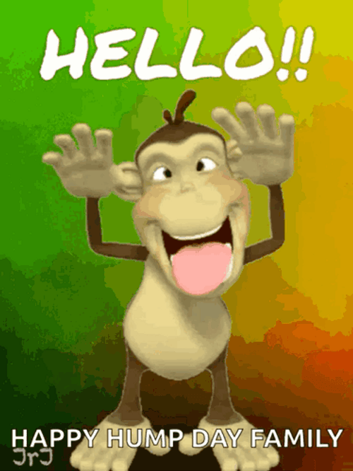 Teasing Monkey Happy Hump Day Meme GIF