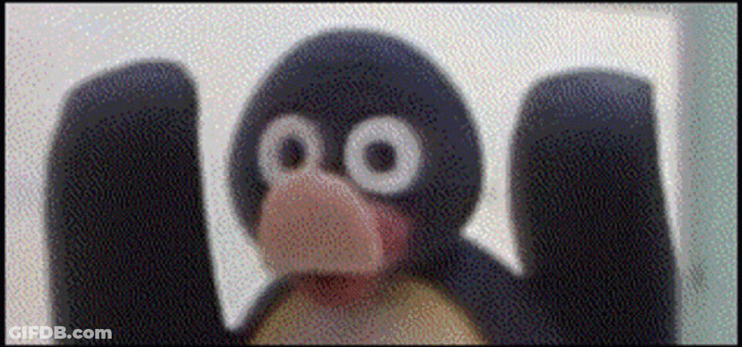 Teasing Noot Noot Meme GIF