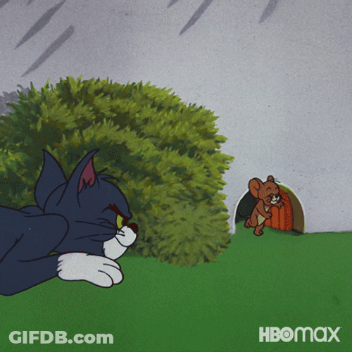 Teasing Prank Tom And Jerry GIF