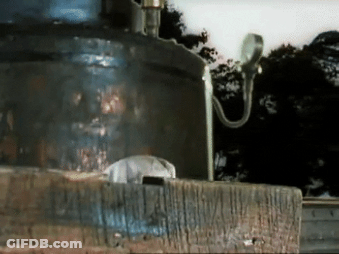 Teasing Train Classic Movie GIF