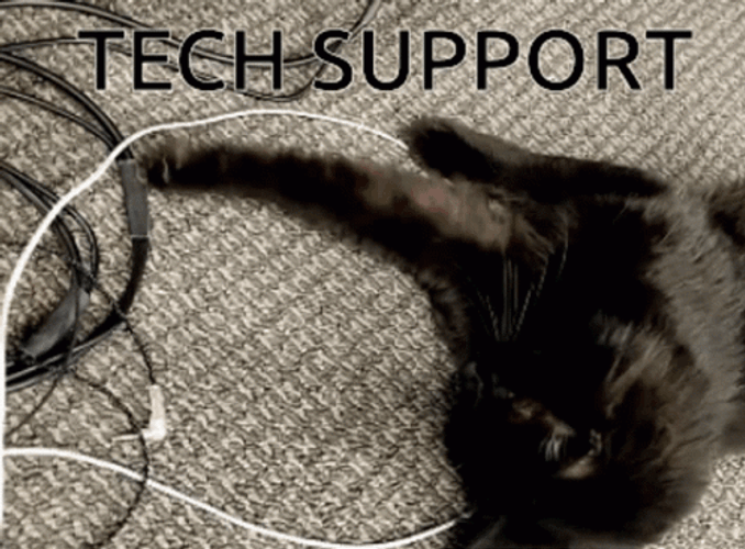 Technical Difficulties Black Cat GIF