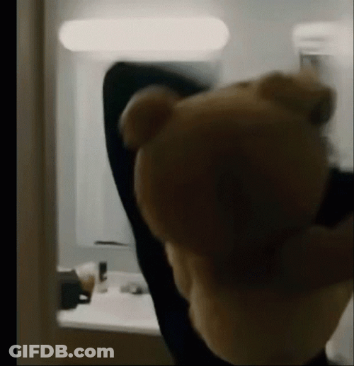 Ted Attacking Human GIF