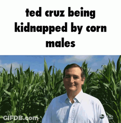 Ted Cruz In A Corn Field GIF