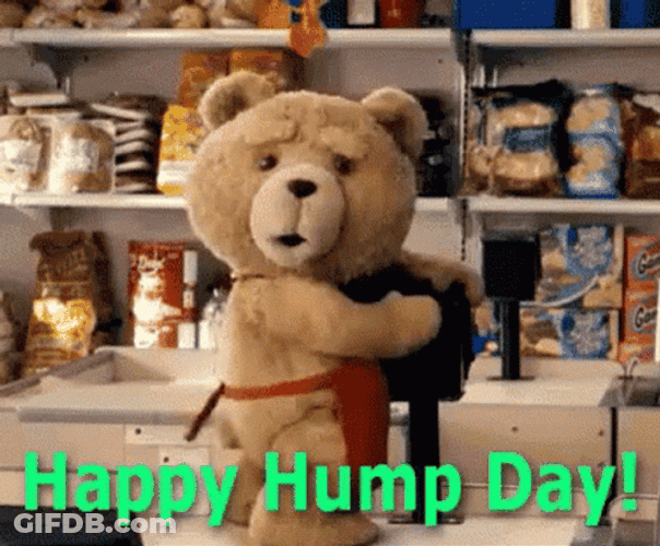 Ted Happy Hump Day Meme GIF