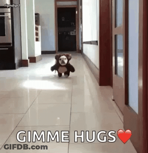 Ted Running Gimme Hugs Human GIF