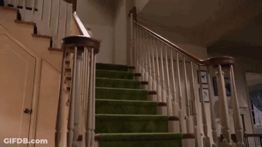 Ted Running Slide Down Staircase GIF