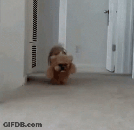 Ted Running Towards Door GIF