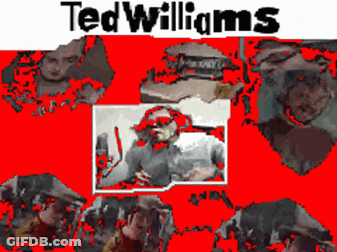 Ted William Glitch TV GIF