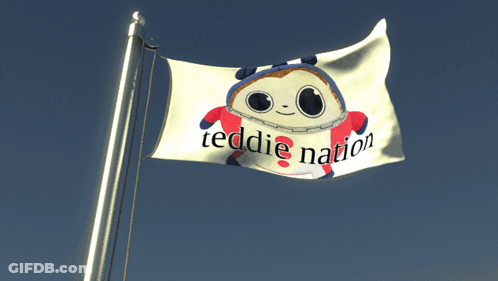Teddie Nation Flag Flying GIF