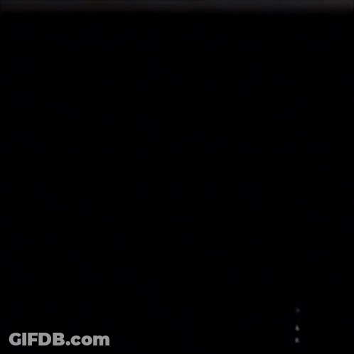 Teddy Bear And Bunny Standing In Dark GIF