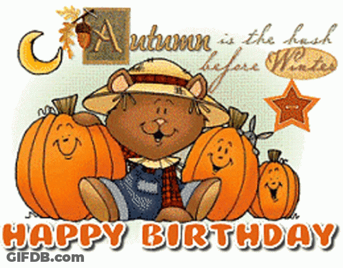Teddy Bear Birthday Card With Pumpkins GIF