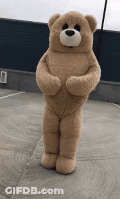 Teddy Bear Costume Dance GIF