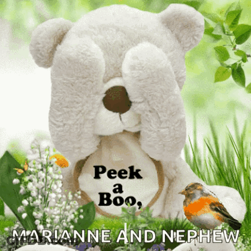 Teddy Bear Covering Eyes Peek A Boo GIF