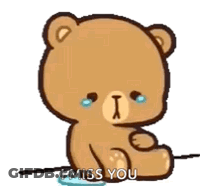 Teddy Bear Crying Saying I Miss You Holding Flower GIF