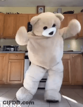 Teddy Bear Dancing In Kitchen TikTok GIF