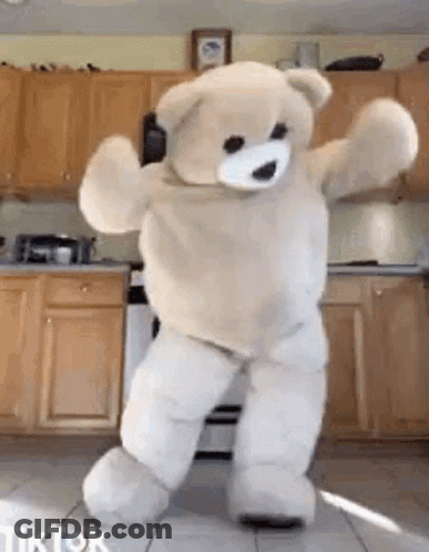 Teddy Bear Dancing In Kitchen TikTok GIF