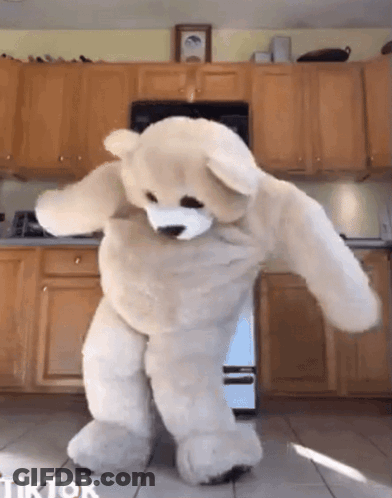 Teddy Bear Dancing In Kitchen With TikTok Watermark GIF