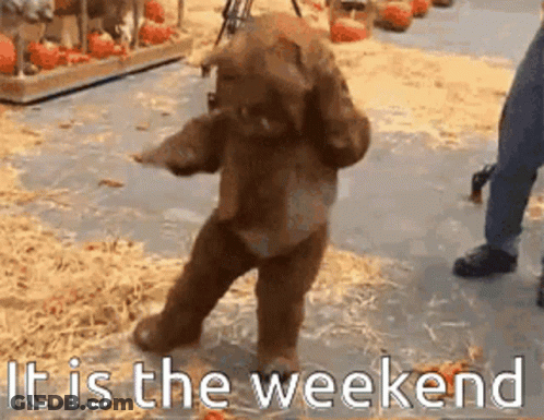 Teddy Bear Dancing It Is The Weekend GIF