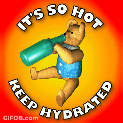 Teddy Bear Drinking Green Bottle Keep Hydrated GIF