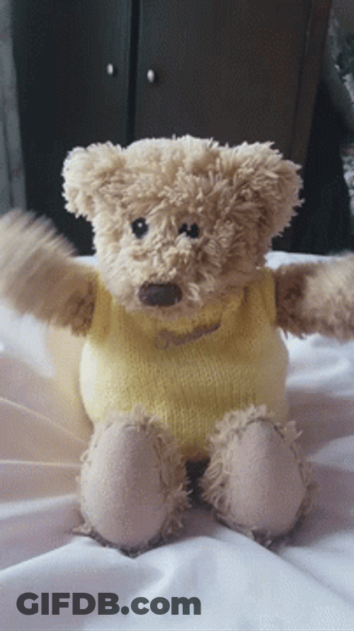 Teddy Bear Excited Hello GIF