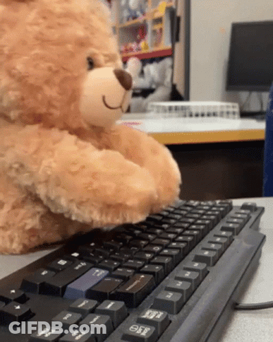 Teddy Bear GIF