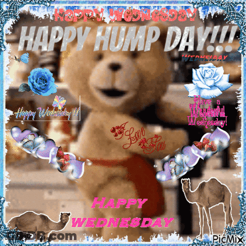 Teddy Bear Happy Hump Day GIF