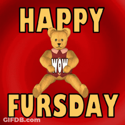 Teddy Bear Happy Thursday Funny GIF