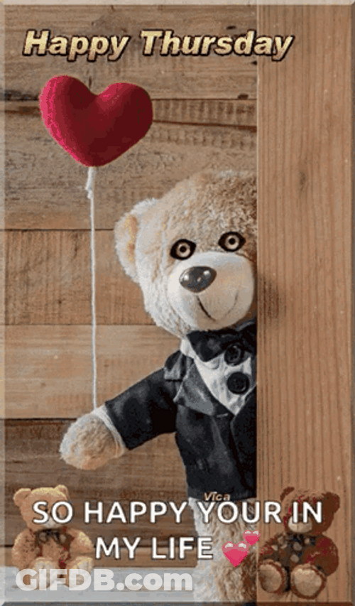 Teddy Bear Happy Thursday Meme GIF
