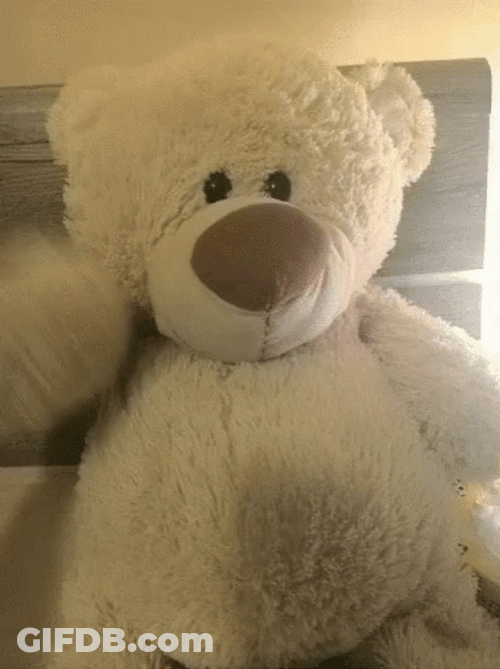 Teddy Bear Hi Hello GIF