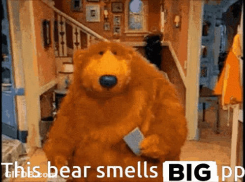 Teddy Bear Holding Book Saying Big PP GIF