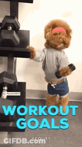 Teddy Bear Holding Dumbbell Wearing Headband GIF