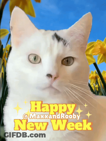Teddy Bear Holding Flowers Saying I Love You So Much GIF