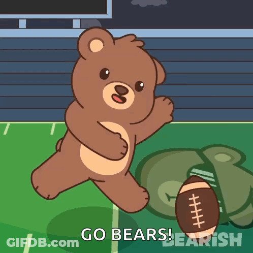 Teddy Bear Holding Football Go Bears GIF
