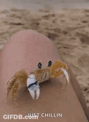 Teddy Bear Holding Milk Bottle By Milk Truck GIF