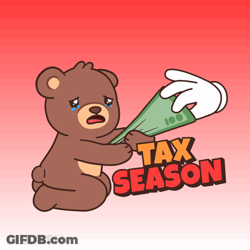 Teddy Bear Holding Money Tax Season GIF