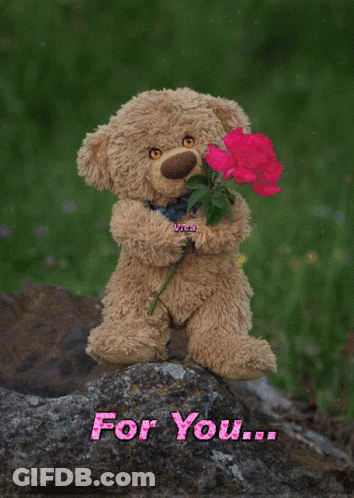 Teddy Bear Holding Pink Rose Saying For You GIF
