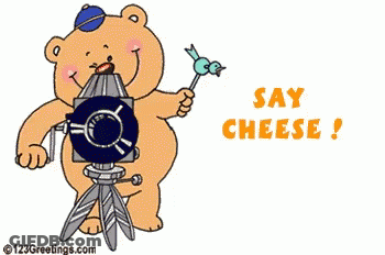 Teddy Bear Holding Record Saying Smilin Good Day GIF