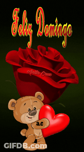 Teddy Bear Holding Red Heart Next To Rose Saying Feliz Domingo GIF